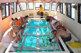 Glass Bottom