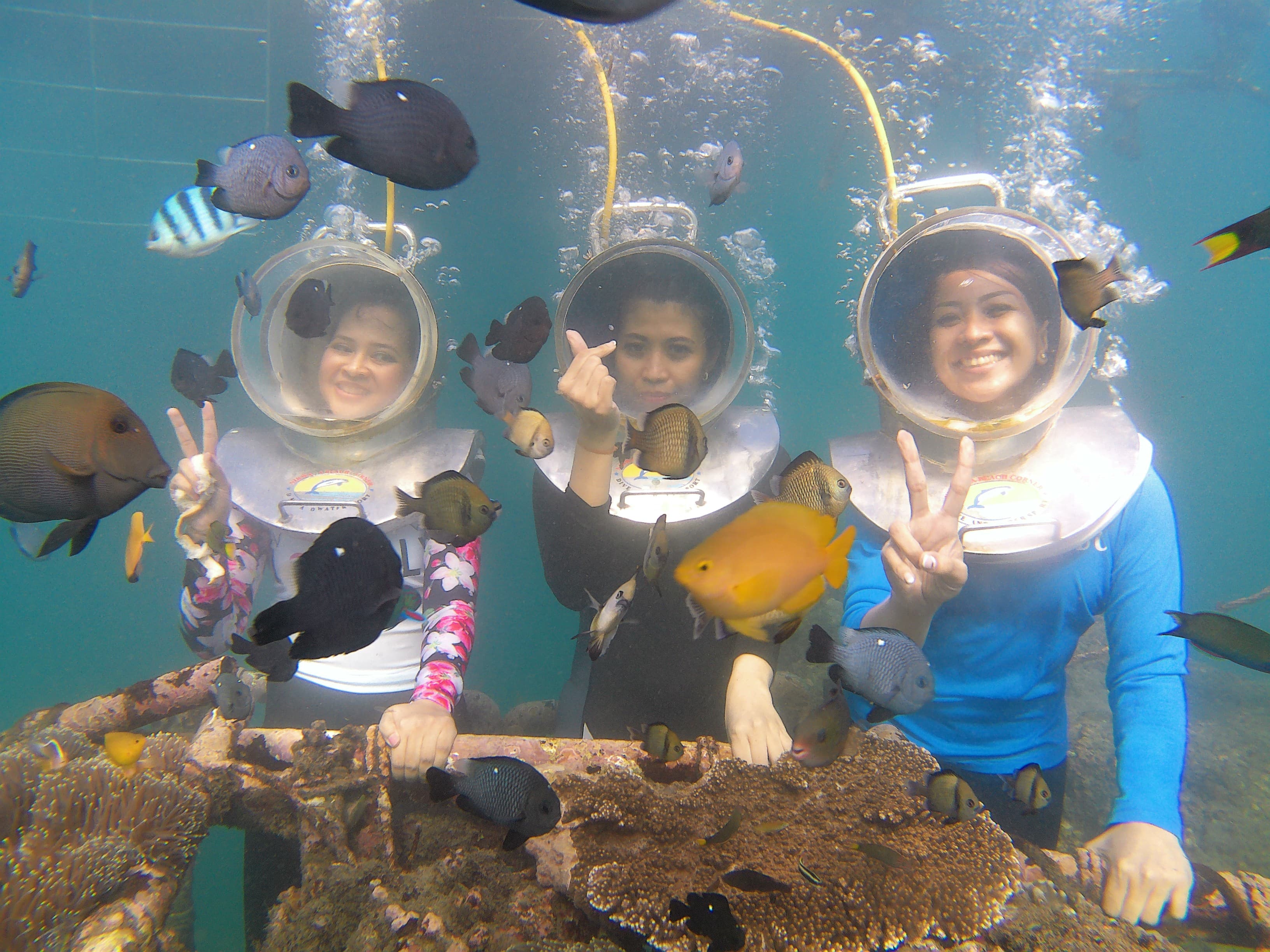 Full Trip Packages
